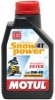 Motul snowpower 0w40.200x200.jpg
